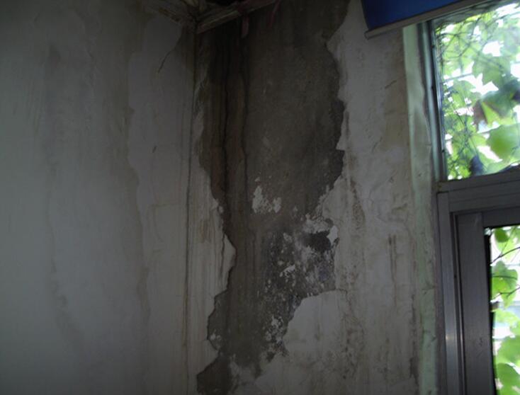 �ό�Σ���z�y(c��)�b��