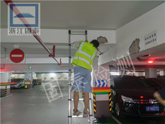 ���؉�菶��Гp�ڷ��ݵĿ�����